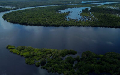 AGU REBATE IBAMA E DIVULGA PARECER QUE FAVORECE A PETROBRÁS NO LICENCIAMENTO NA BACIA DA FOZ DO AMAZONAS