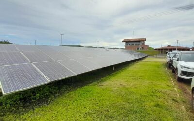 Noronha Verde: Governo de Pernambuco inicia projeto de descarbonização no arquipélago