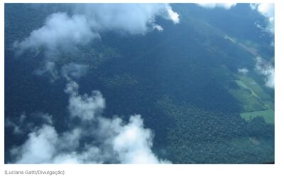 Petrobras e Braskem assinam acordo para estudar captura e armazenamento de carbono