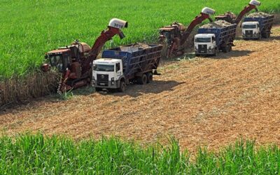 Maior produtividade da cana aumenta oferta de açúcar e etanol no Nordeste