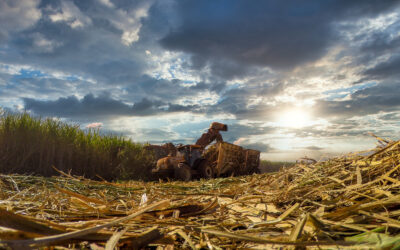 BNDES e Finep já investiram R$ 11,7 bi em biocombustíveis desde 2023