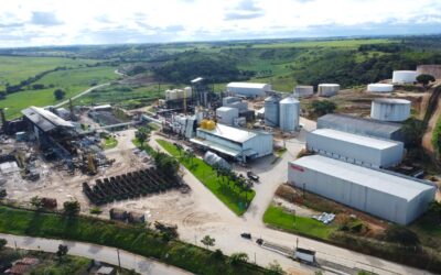 Pindorama inicia moagem de grãos em AL e estima triplicar produção de etanol