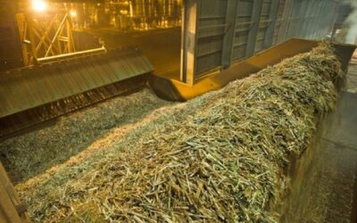 Produção de etanol cresce no Nordeste mesmo com queda na moagem de cana-de-açúcar na safra 2025/26