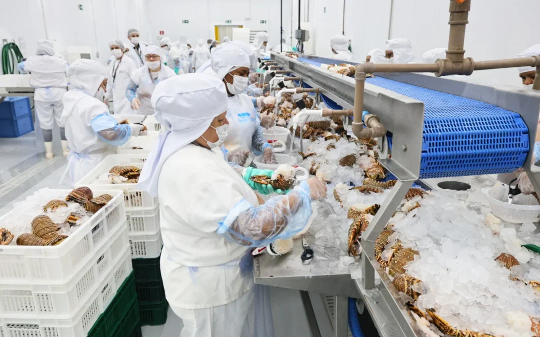 Nordeste tarifado: etanol e calçados pagam 25%, mas mel e frutos do mar escapam