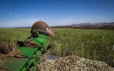 Gasolina com 32% de etanol muda mix de usinas do Nordeste no início da safra